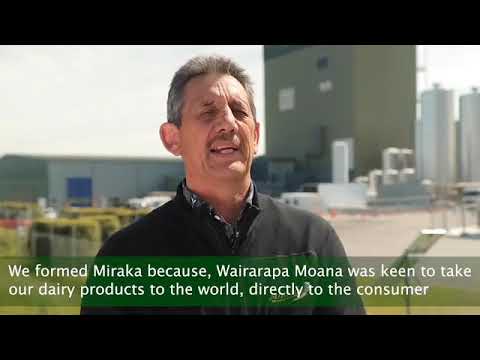 Quy trình sản xuất sữa Taupo của nhà máy Miraka