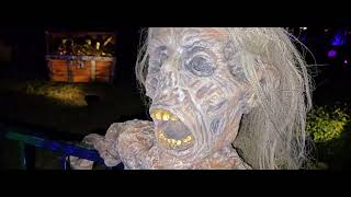 2025 Plague of Pirates Yard Haunt (80% complete)