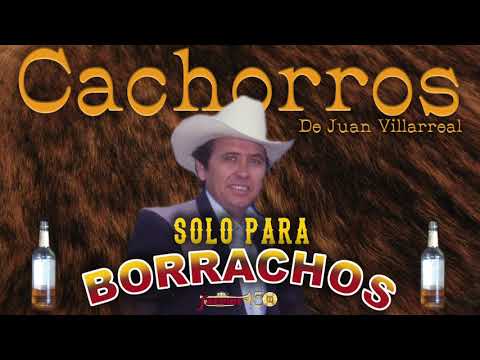 Los Cachorros - Musica Pa' Pistear Toda La Noche y Amanecer Chupando! Solo Para Borrachos!