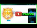 Fair Trader Review Top Project With X Potential Founded On The Bible Principle English