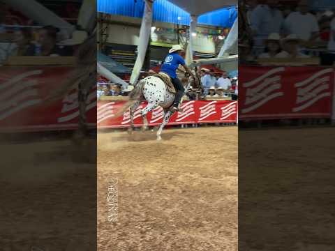 Caballo Zafiro 🐎📍 Santuario, Antioquia🐴 Raza Appaloosa🏡 Rancho Jes