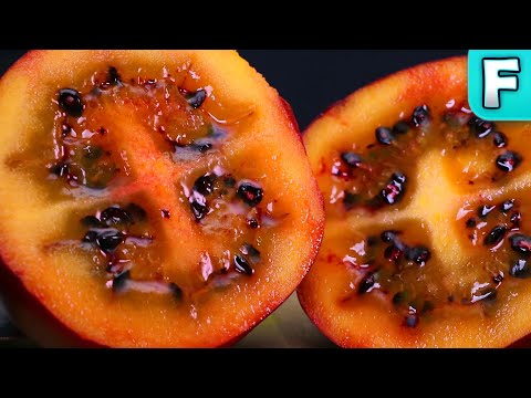 Tamarillo (Solanum betaceum) | Foods You've Never Heard Of