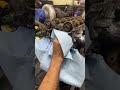 HKS Cam Gears For My 1JZ GTE 1jzgte 2jz Hks Car