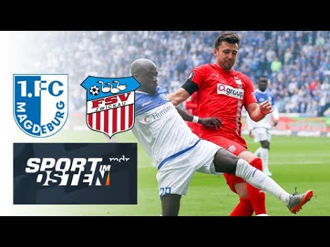 Testspiel: 1. FC Magdeburg - FSV Zwickau
