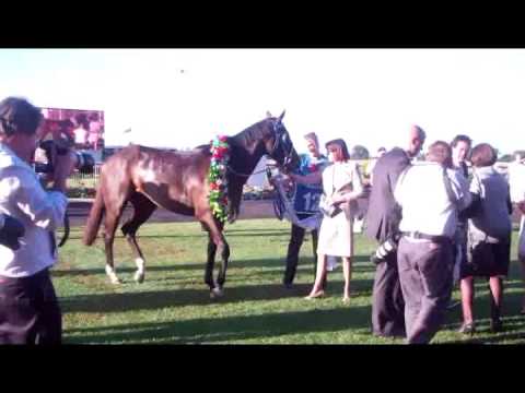 2011 Sky Racing Tattersall's Tiara winner Yosei