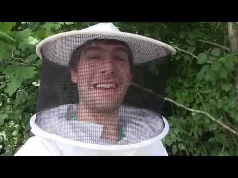 download lagu mp3 mp4 Bees And Soapy Water, download lagu Bees And Soapy Water gratis, unduh video klip Bees And Soapy Water