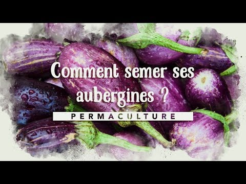, title : 'Comment semer ses aubergines en moins de 10 minutes ?'