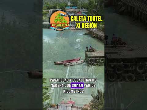 Caleta Tortel: 3 Curiosidades Sorprendentes que No Conocías