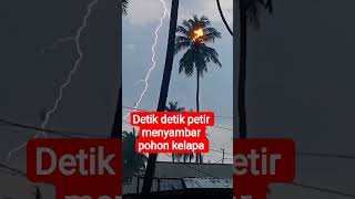 Download lagu #petir#menyambar#pohon kelapa mp3 Download lagu #petir#menyambar#pohon kelapa mp3