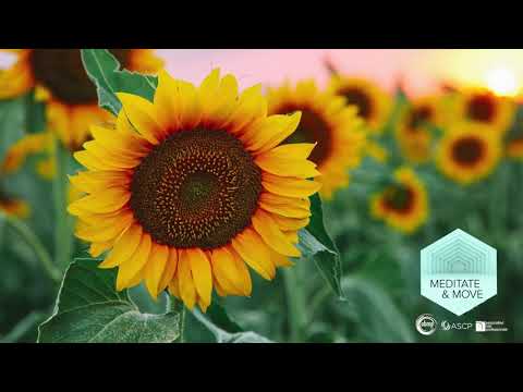 Peace Within Meditation | ABMP Meditate & Move