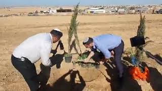 לכבוד ט"ו בשבט: ח"כ איתמר בן גביר נוטע עצים בנחל יתיר - התמונה מוצגת ישירות מתוך אתר האינטרנט יוטיוב. זכויות היוצרים בתמונה שייכות ליוצרה. קישור קרדיט למקור התוכן נמצא בתוך דף הסרטון