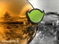 Speedmaster Project - What Is Love (Electro Gold ...