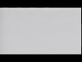 White Screen Of Death On My Bird On A Wire 1990 VHS Version 2