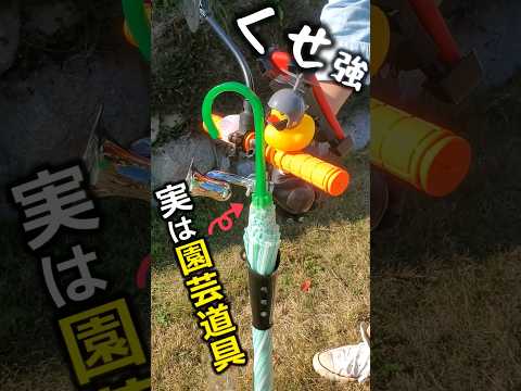 菜園や芝生に大きな白い虫が？それらを取り除き、植物を救う方法は次のとおりです。  庭園