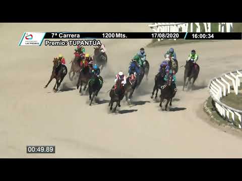 17/08/2020 – Hipodromo Las Piedras – Carr 7 – TUPANTÚA