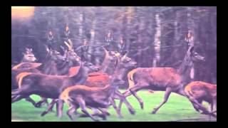 Lapalux  -- Sum Body  (Kim Holm Vimeo)