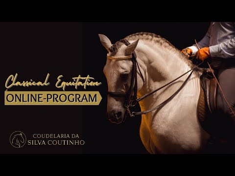 NEW Coudelaria da Silva Coutinho - Online-Program