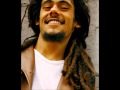 Damian Marley--Trouble