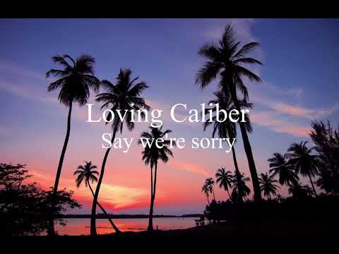 Say we're sorry (Hallman Remix) - Loving Caliber [House]