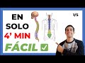 🤯5 LA COLUMNA VERTEBRAL | Anatomia [FÁCIL] ✅ Partes y Funciones