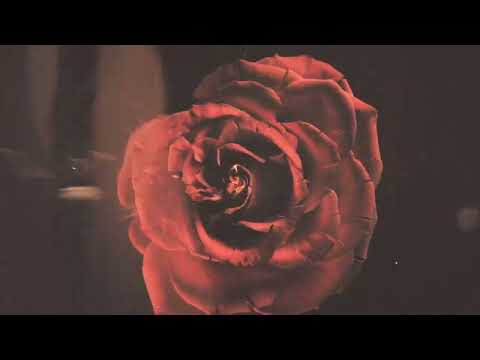 HUGEL, Jude & Frank - Pra Nao Dizer | Insomniac Records