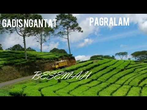Gadis ngantat lagu daerah lahat pagaralam sumsel