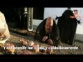 Gorillaz - Stylo (Video Oficial) Subtitulada al ...