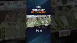 "브로콜리 너마저" 채소 물가에 '깜짝' #shorts #숏톡