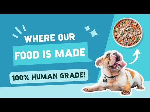 Where We Make Our Food | A Pup Above