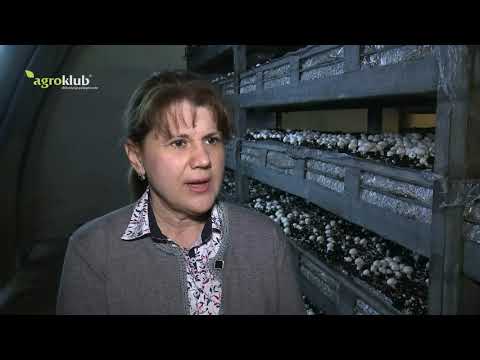 Janjetina s manje kolesterola