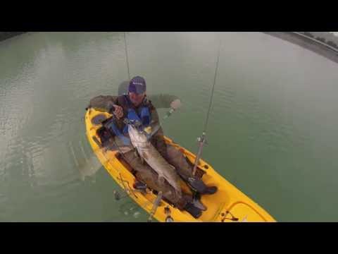 121cm Hecht angeln, Pike