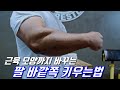 근육 모양마저 바뀌는 팔근육 키우는법