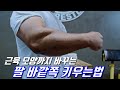 근육 모양마저 바뀌는 팔근육 키우는법