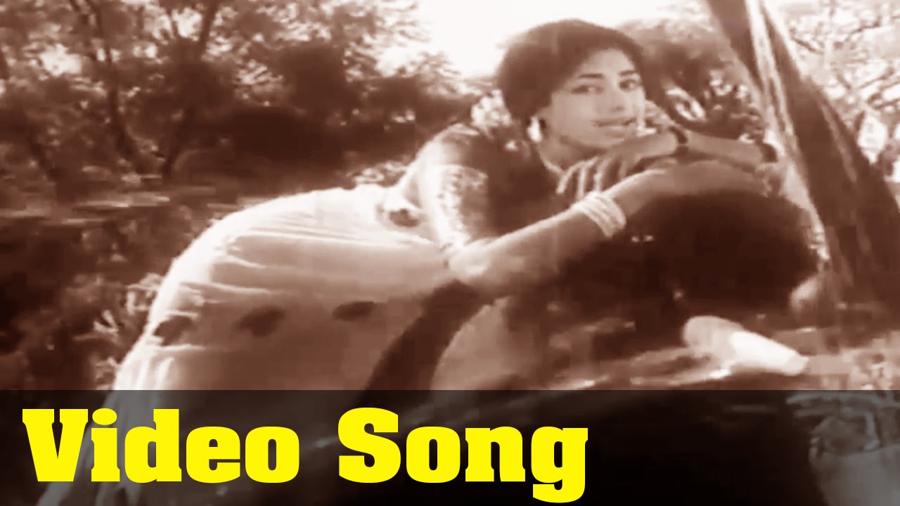 Nenje Nee Po Song Lyrics | Then Mazhai | P. Susheela