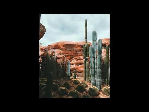 [FREE FOR PROFIT] Khalid x Smino "Location" Type Beat | Tropical Vibes Beat (prod.fariachy)