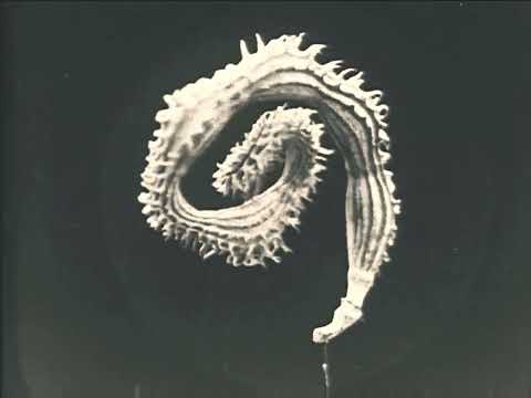 Prezident - Was macht das mit euch feat. Koljah, Bobby Fletcher (cbrG remix)