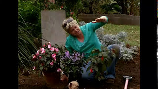 The Gardener Magazine:  Overhauling An Unstructured Garden