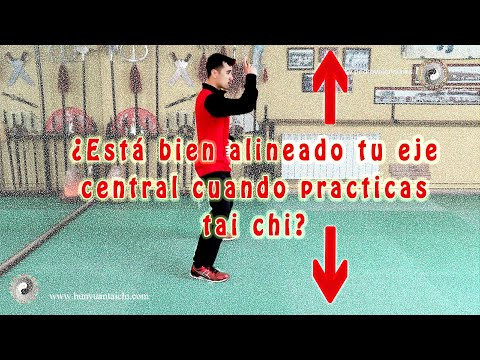 Pautas para mejorar tu tai chi 3