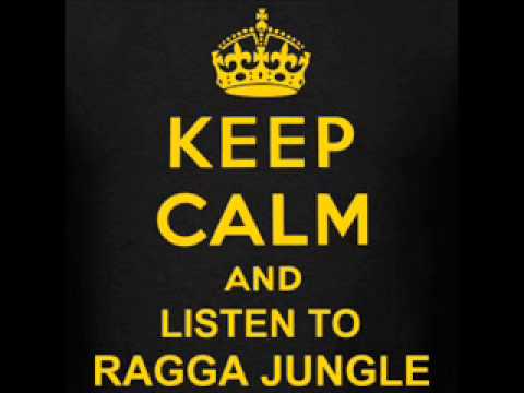 Ronny Trettmann ft. Shotta Paul - Hitzefrei (J Bostron Remix) (Reggae Drum & Bass Jungle)