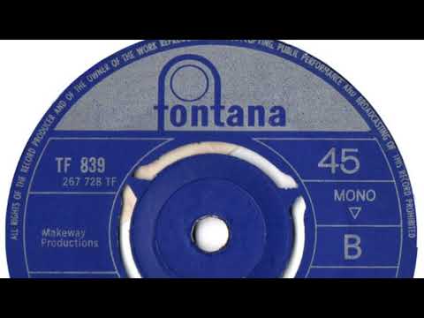 The Fresh Windows – Fashion Conscious