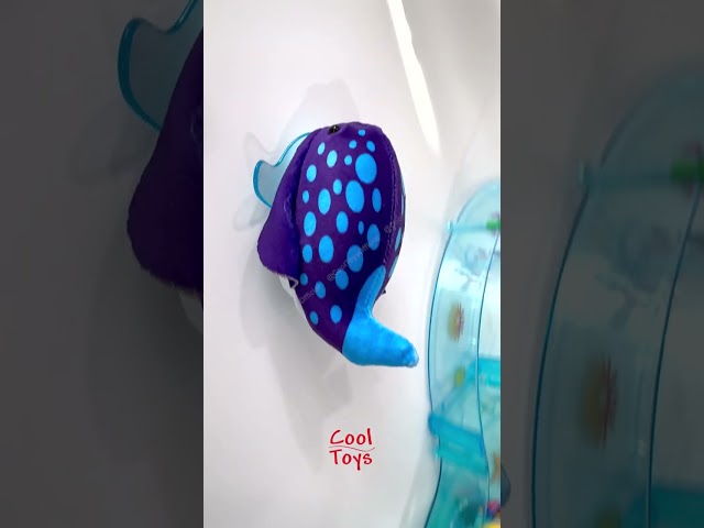 Vídeo relacionado con Lansay ZHU ZHU AQUARIUM - Sebastián el Pez Mandarín - Multicolor - Peluche suave e interactivo para niños a partir de 4 años - Creación de historias encantadas - Animal interactivo Rigolo- No necesita