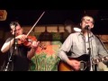 MIKE VIOLA / Soundtrack of my summer