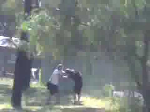 eagle vale highs retarded race