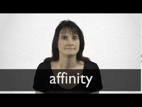 affinity synonym affinity synonym