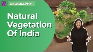 Natural Vegetation Of India | Class 6 - Geography | Learn With BYJU'S