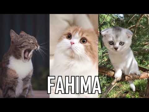 JOYEUX ANNIVERSAIRE FAHIMA