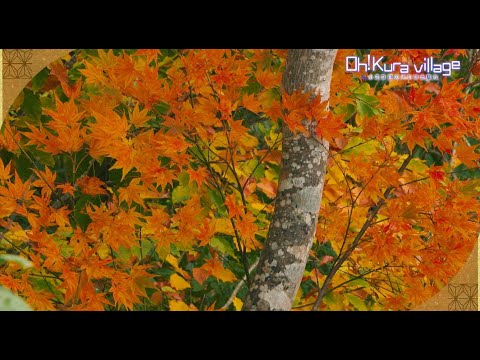 ③【Oh!kura Village Autumn】本編