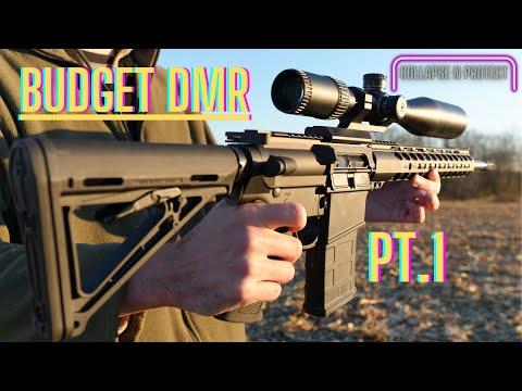 Affordable DMR?! PSA PA10 Gen3 Performance