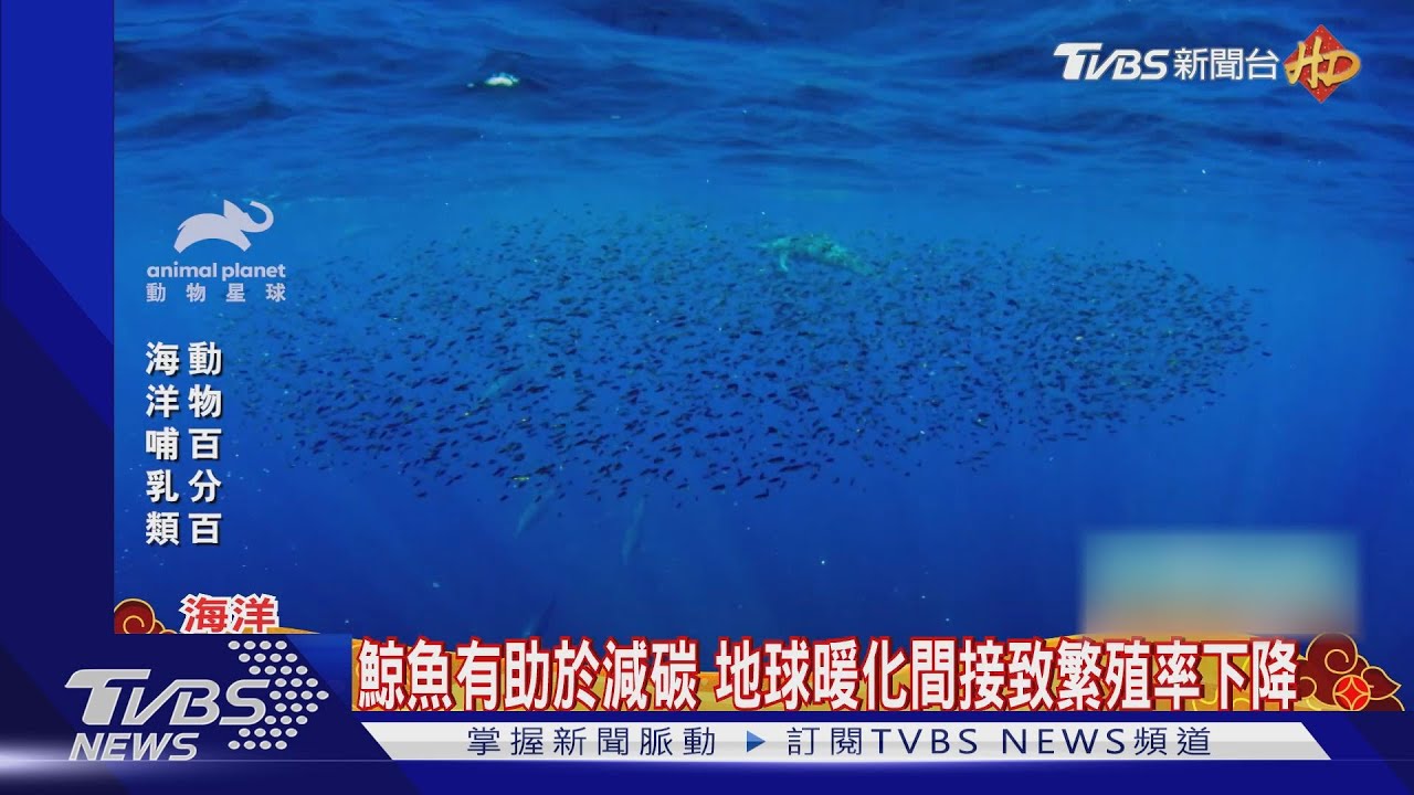 地球暖化加棲息地破壞 陸海哺乳類動物恐消失