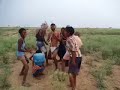 Deshi Song Part 2